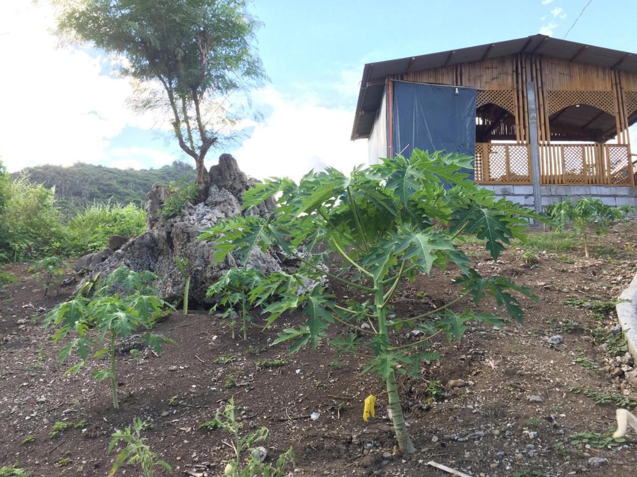 Sealovers' Place Masasa Beach Batangas Exterior foto